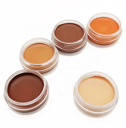Organic Dark Color Full Coverage Foundation Cream Pro Concealer for Logo Makeup