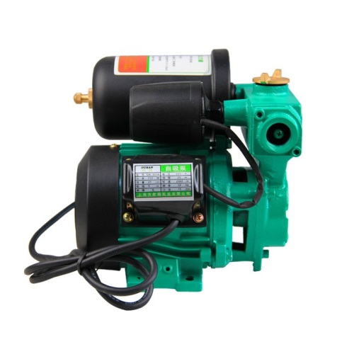 Hot Sell Sell Automatic Water Booster Pump Electric 220V