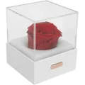 Luz de la noche de flores USB caprichosa para las habitaciones de las niñas