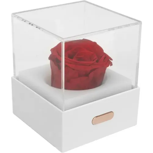 Причудливый USB -цветочный ночной свет для комнат для девочек