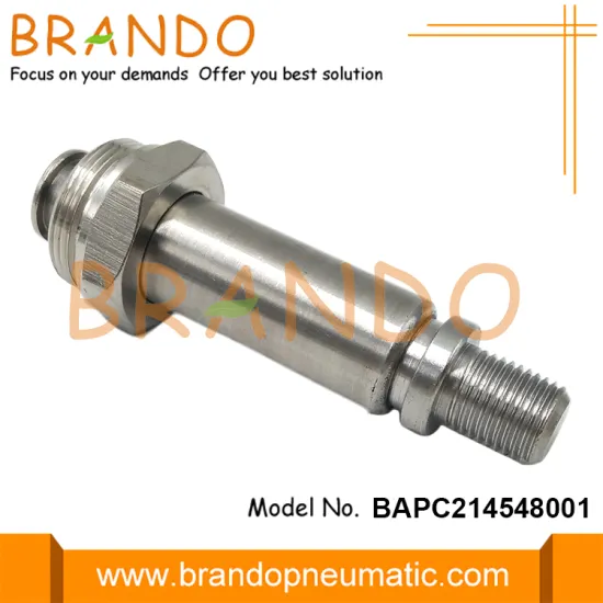 NC NBR Seal Stainless Steel Plunger Tube M20