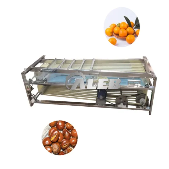 Professional Lychee Sorting Machine: Streamlining Fruit and Vegetable Processing