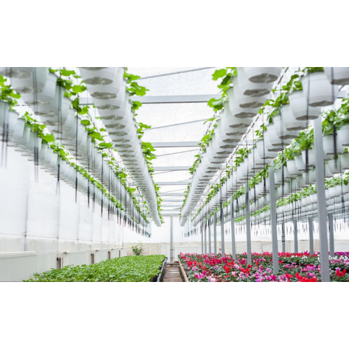 Corn Steep Liquor Granule For Soluble Organic Fertilizer