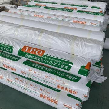 CFS Building Material TPO Waterproofing Membrane