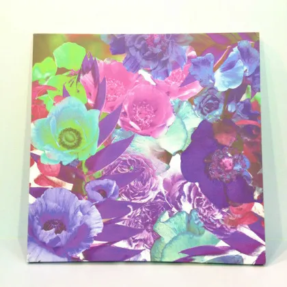 Bright Color Paintings Flowers