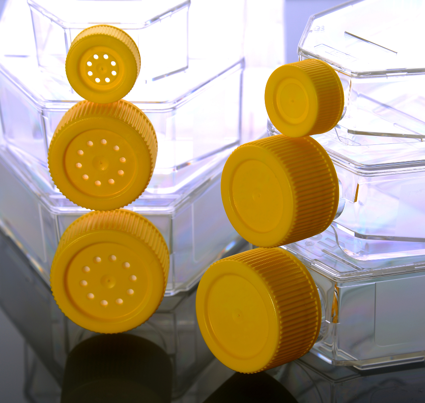 T75 Cell culture flasks for suspension cells China Manufacturer