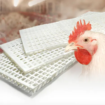 High Strength Plastic Slat Floor for Poultry Houses: Easy Cleaning and Raised Design
