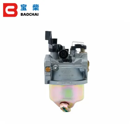 Gas Carburetors P19A-2 for ER2500 Engine Range Extender