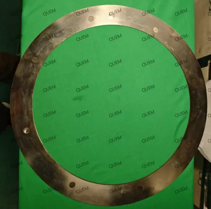 Cameron AAP0901597-00019 New Gasket Flange for VICTAULIC 18