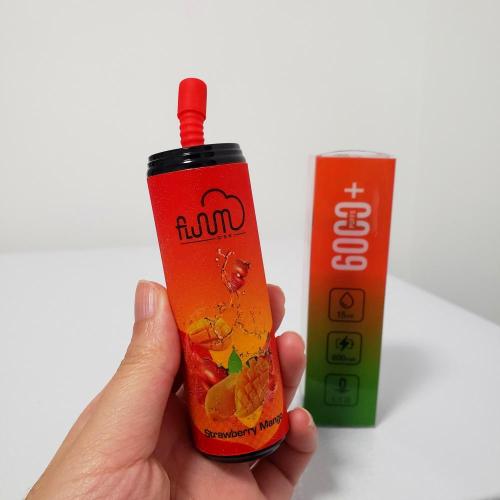 Fluum Bar 6000 퍼프 일회용 vape 장치 두바이