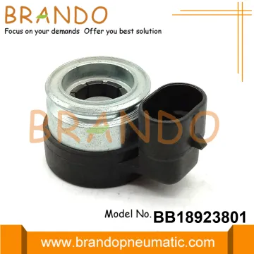 Solenoid Coil For AEB LPG CNG Injector Rail