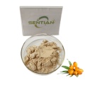 Sea Buckthorn Extract Isorhamnetin 98% Powder Cas 480-19-3