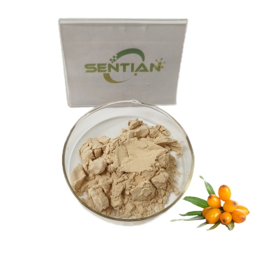 Sea Buckthorn Extract Isorhamnetin 98% Powder Cas 480-19-3
