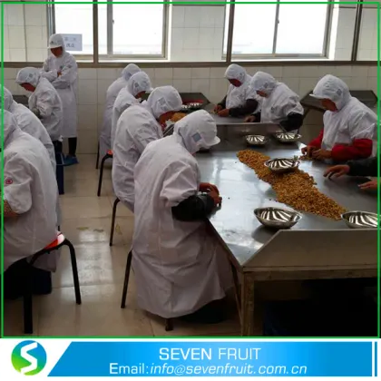 Walnut Type and GMO Cultivation Type Walnuts Halves