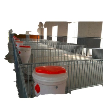 Pig Equipment for Fattening Stalls and Boar Pens