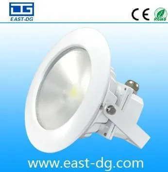 New coming high quality 10w led down light