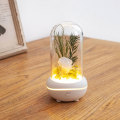 Flower aromatherapy Scent Diffuser for home