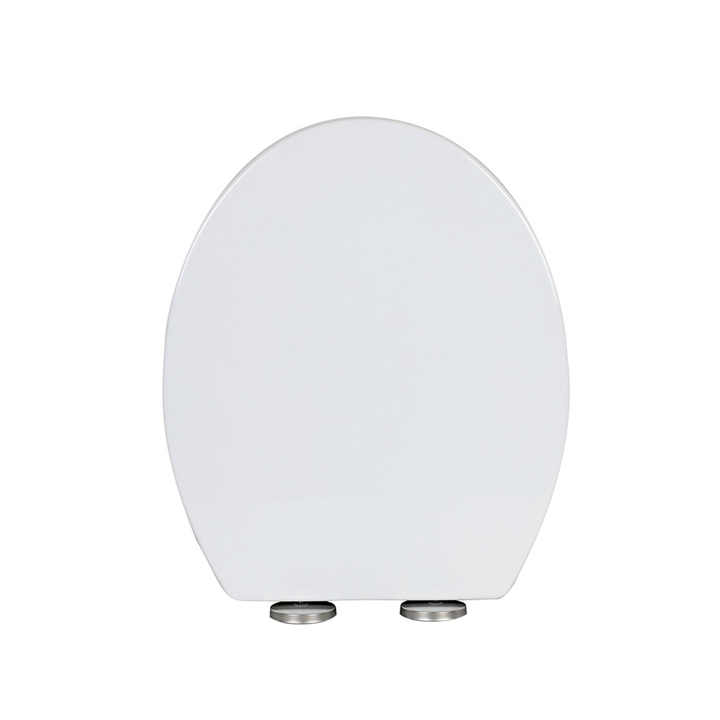 bidet toilet seat2