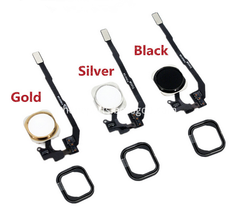 iPhone 5S home button flex 1