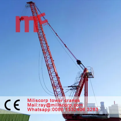 6ton roof derrick crane