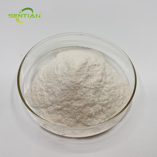 High Purity Plant Based Rice Protein Isolate Extract