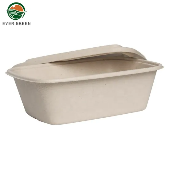 Disposable Biodegradable Takeaway Sugarcane Fibre Container