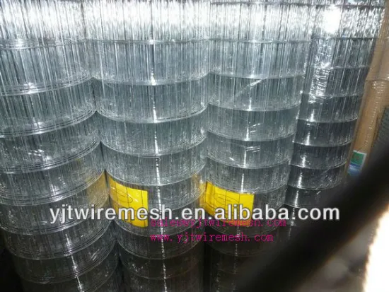 Electro galvanized welded wire mesh/welded mesh exported to Egypt