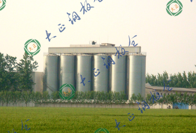 Kaifeng Tianyuan Flour Industry04