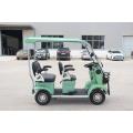 Cheap 2person electric sightseeing car