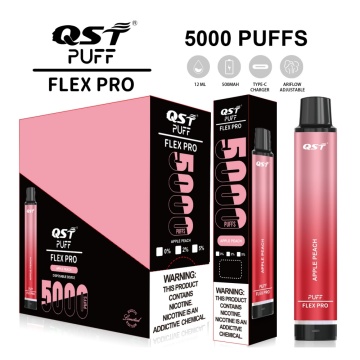 Vape à usage unique Puff Flex Pro 5000puff