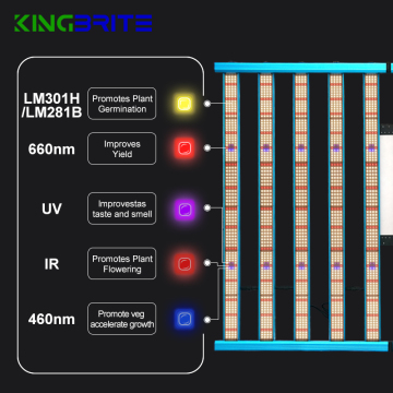 KingBrite NEW X55 - High Power Samsung LM301B/H Full Spectrum Dimmable LED Grow Light