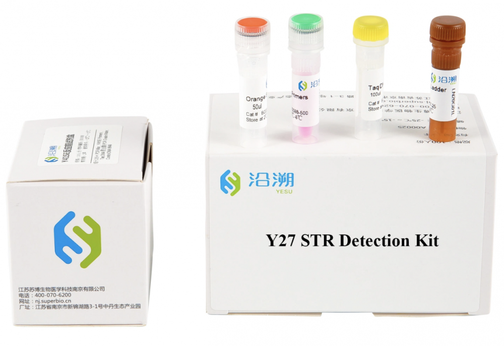 Y 41se Str Detection Kit