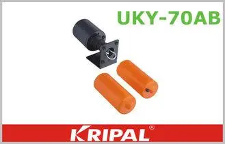 Industrial Side Mounted 10A Liquid Level Float Switch for W