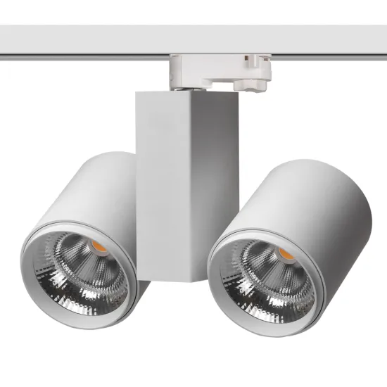 2x20W LED Spotlight Double Head Vertical Track Light for Mall