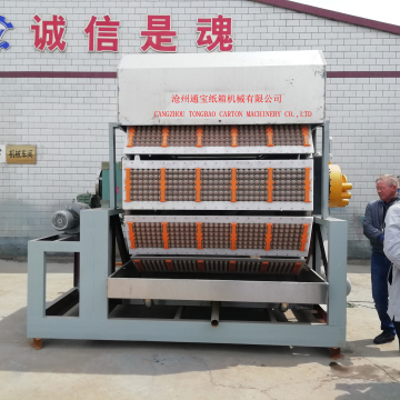 Best Egg Tray Machine Suppliers & Manufacturers