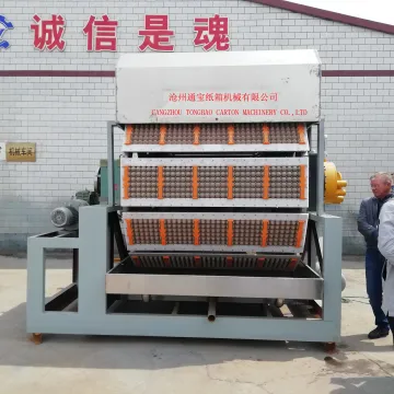 Best Egg Tray Machine Suppliers & Manufacturers