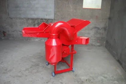 Wheat Grain Food Grade White Wheat Grain Russian