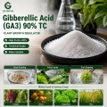 حمض الجبريليك GA3 90% TC منظم نمو النبات