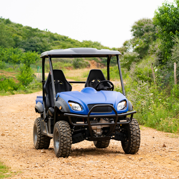 Lvcci and Kingwoo 48V 4x4 Electric UTV for Farm Activities