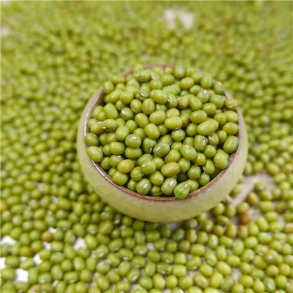 High Purity 2016 Crop Mung Bean Green Bean