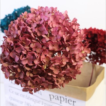 Every Love Factory Direct Sales Grade-A Anna Single Preserved Real Hydrangea for Wedding and Home Decor
