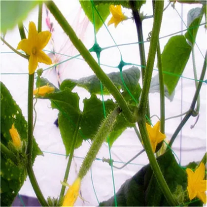 strong climbing plant support net
