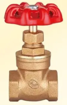 gate valve