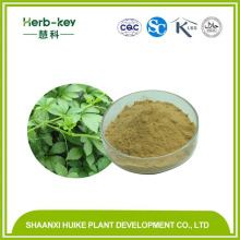 Gynostemma Extract,Gynostemma Pentaphyllum Leaf Extract