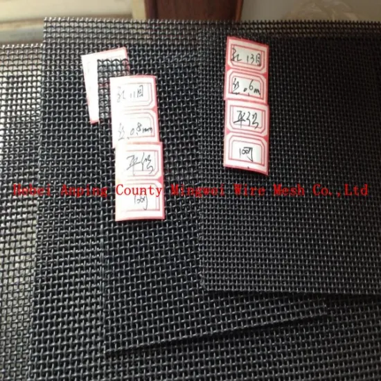 Stainless Steel Window and Door Galvanized Wire Mesh Screen
