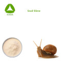 Cuidados com a pele Anti-rugas Materiais Snail Slime Extract Pó