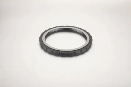 Customized Carbon Graphite Seal Ring