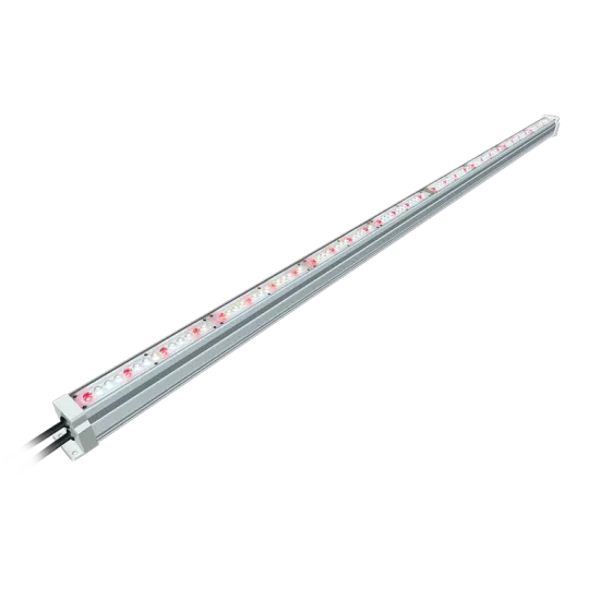 Full Spectrum LED Strip Grow Lights for Vertical Farming