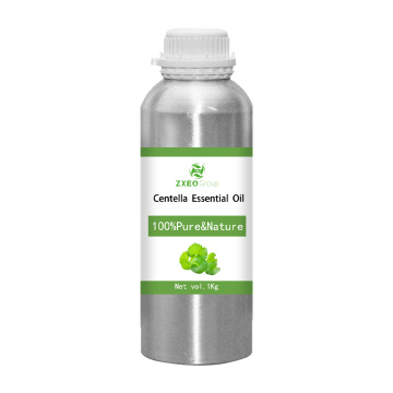 Centella Asiatica Essential Huile Qualité 100% pur huile GOTU KOLA Extrait biologique Natural Natural Skin Care Massage corporel aromathérapie