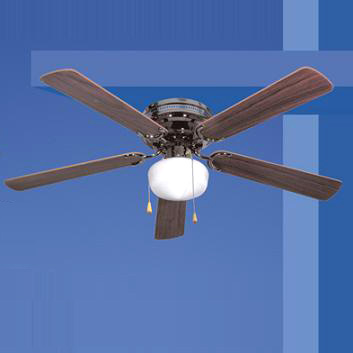 Decorative Ceiling Fans